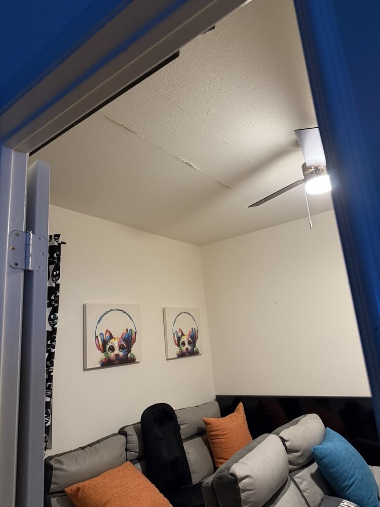 Custom Interior Room Framing — ARIAS INTERIOR SYSTEMS